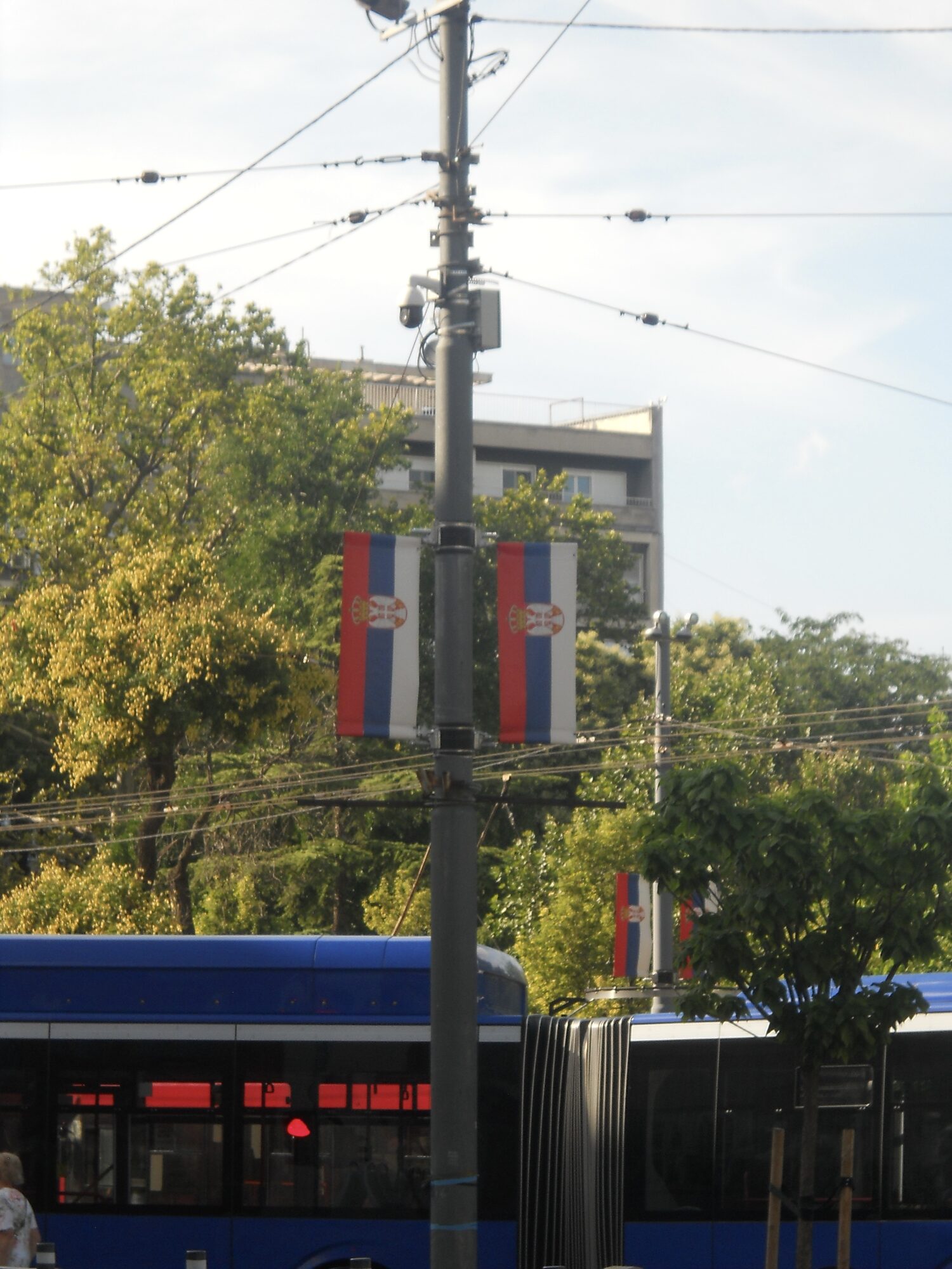 Flags on the avenue