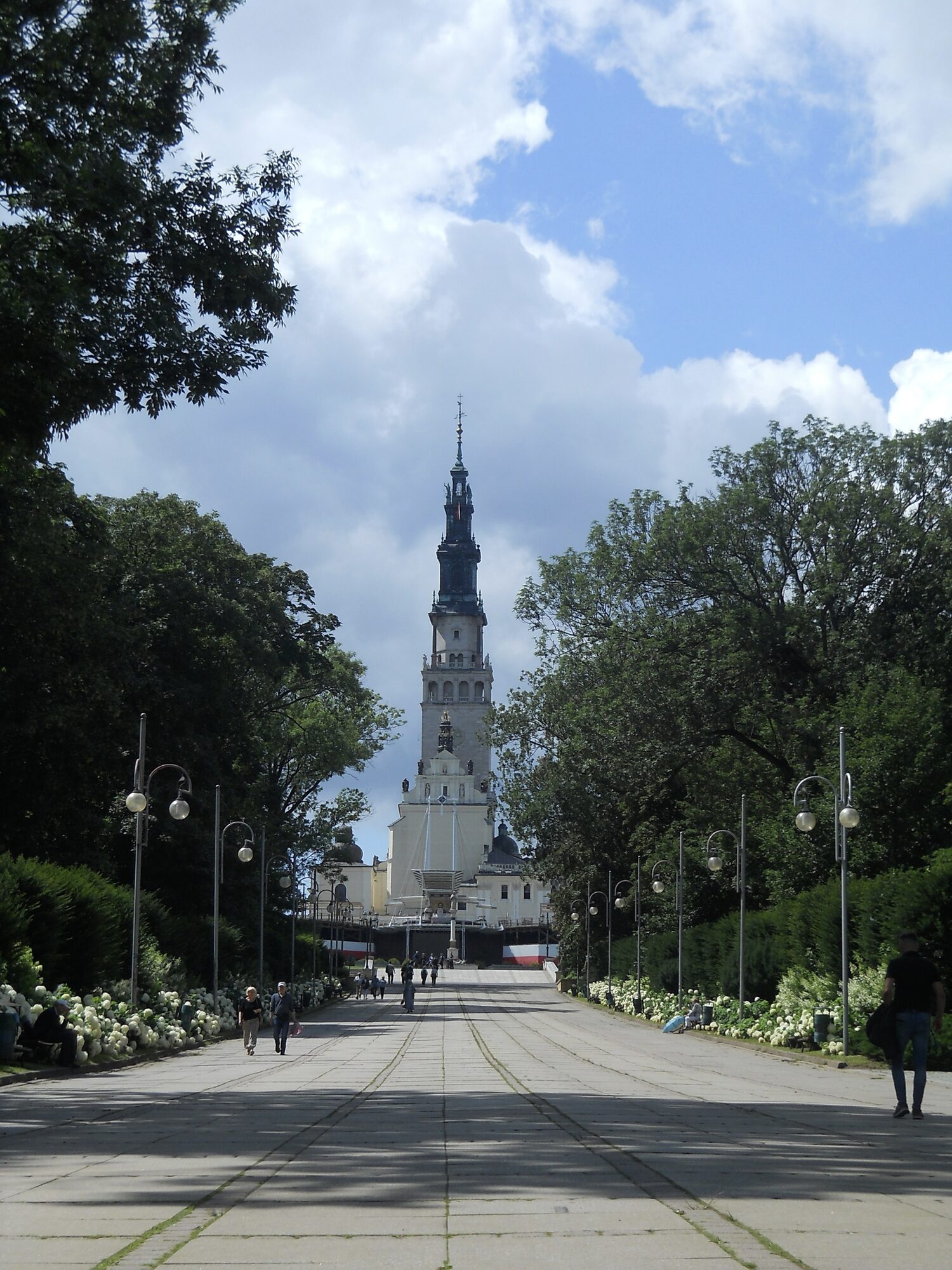 The long avenue