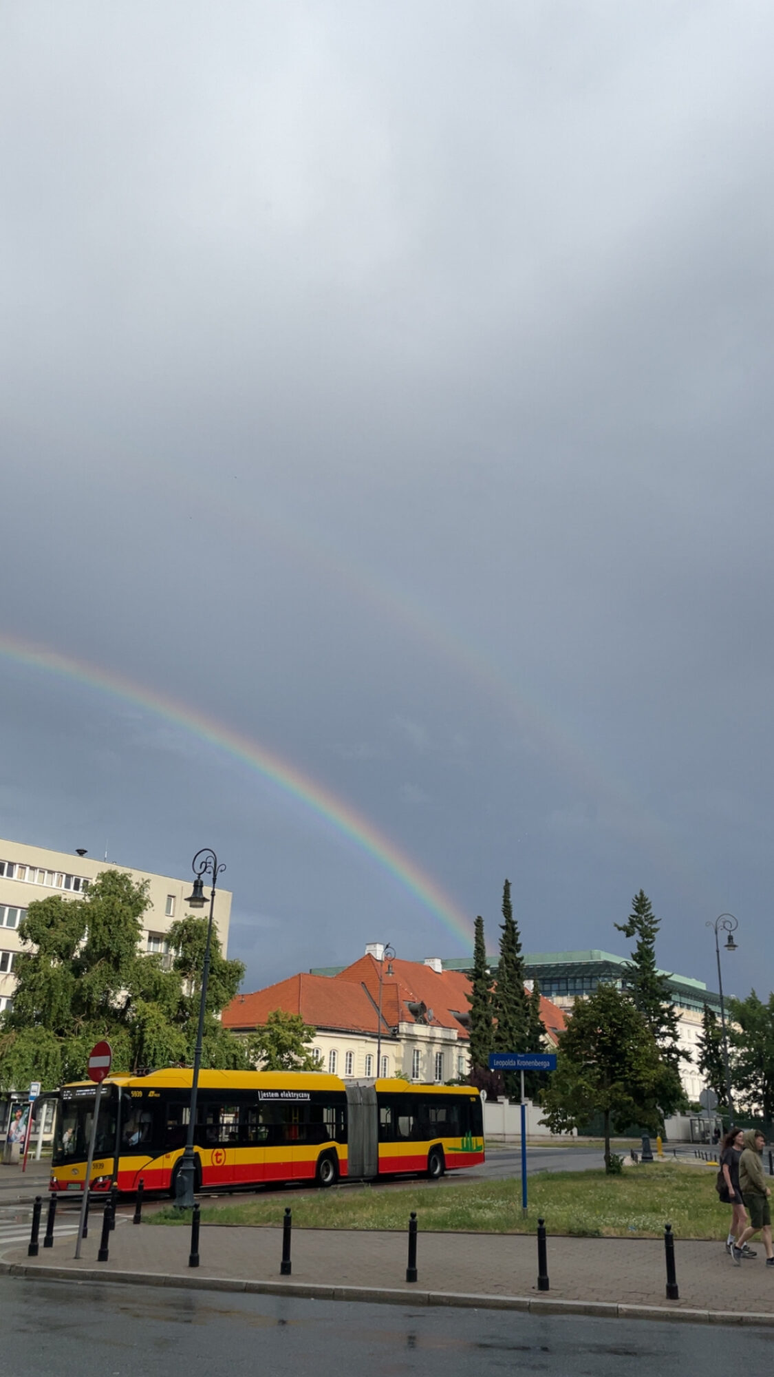 After the rain