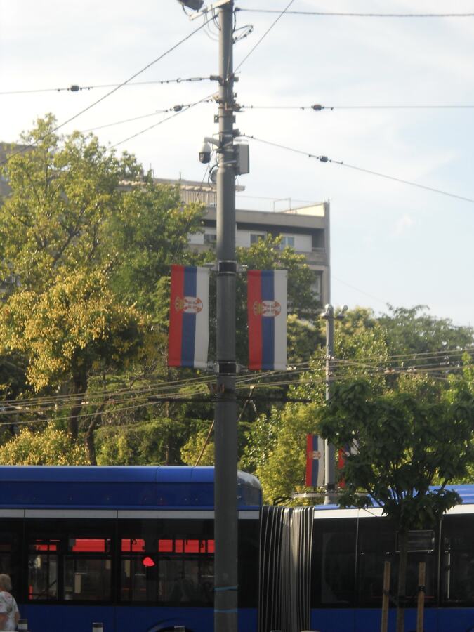 Flags on the avenue