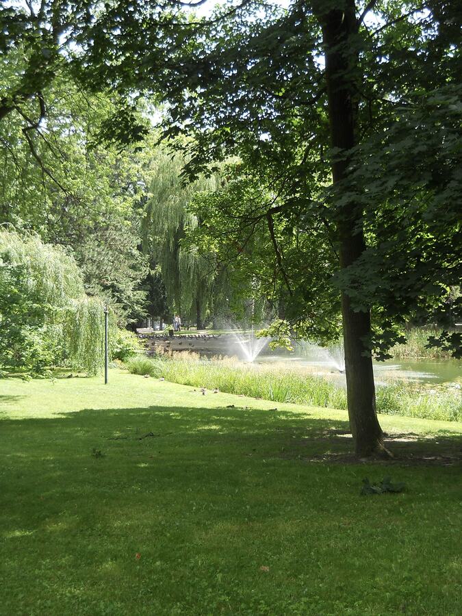 Summer park