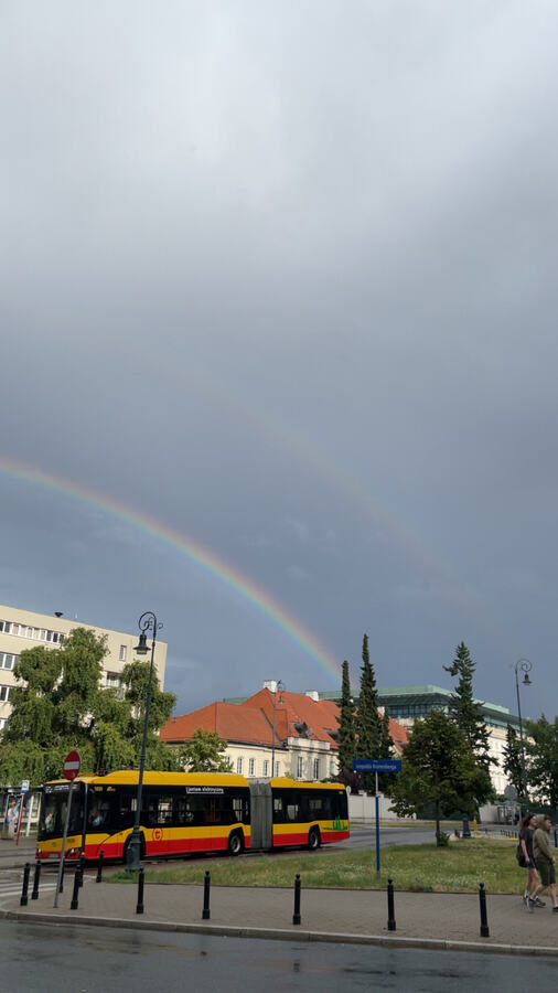 After the rain